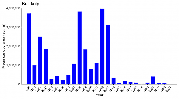 Bull kelp abundance