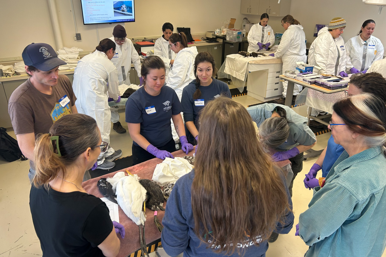 Group of Aquarium staff and other people working at tables